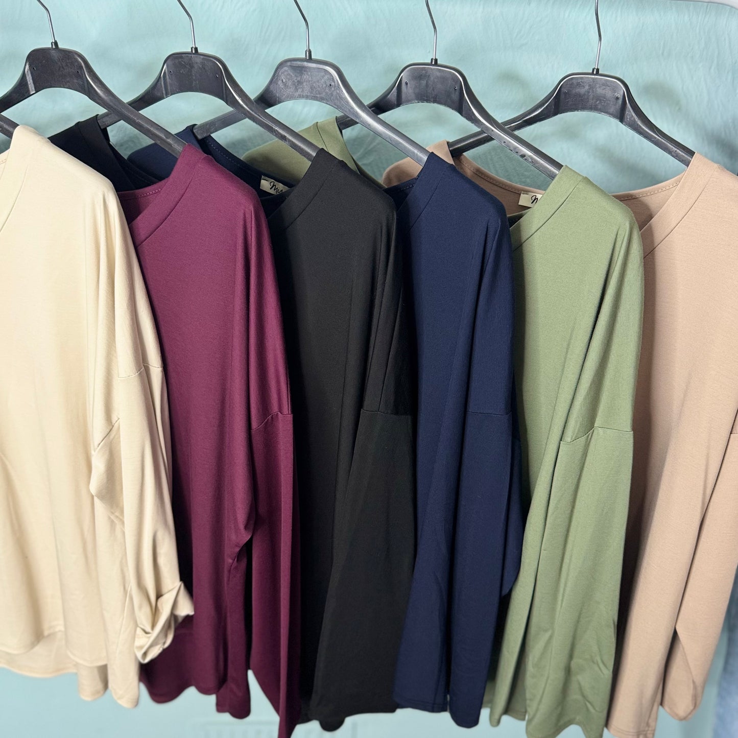 Amara - Long Sleeve V Neck Basic Top - Womenswear.